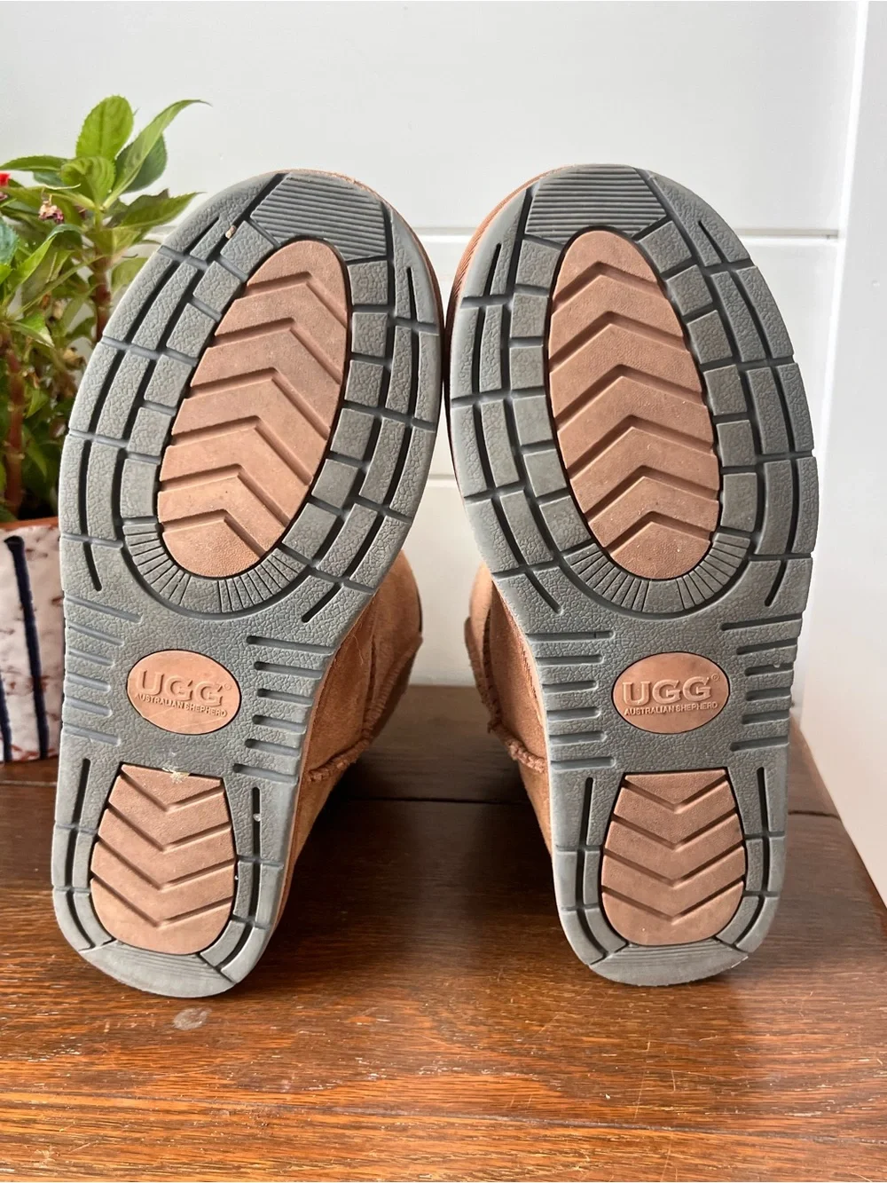 UGG classic short